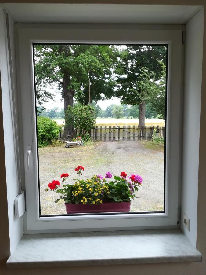 Ferienwohnung Bittner Klitten Kültér fotó